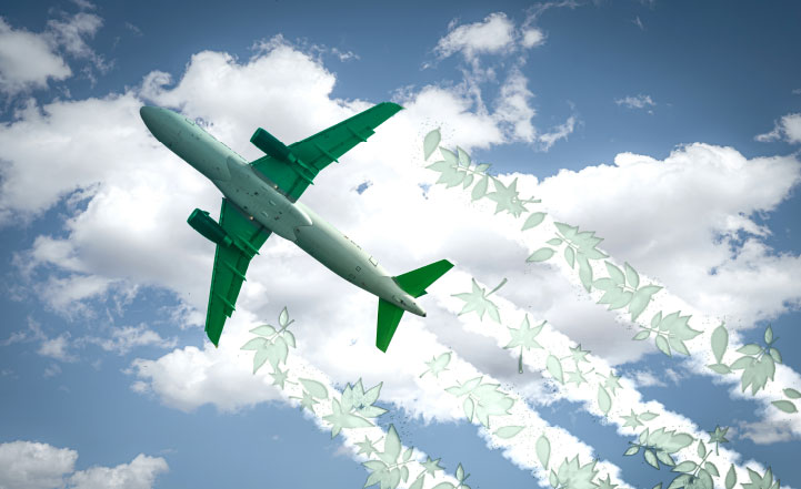 Is Sustainable Aviation  Fuel Just a Pipe Dream?